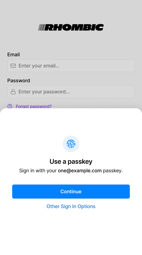 Login screen with passkey login option superseding all other login options